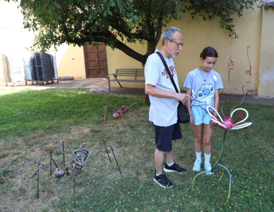 Exposici&oacute;n 'Bichos' de Jos&eacute; Castrillo en el patio del museo de arte contempor&aacute;neo de Carri&oacute;n de los Condes (Palencia). Br&aacute;gimo (ICAL)
