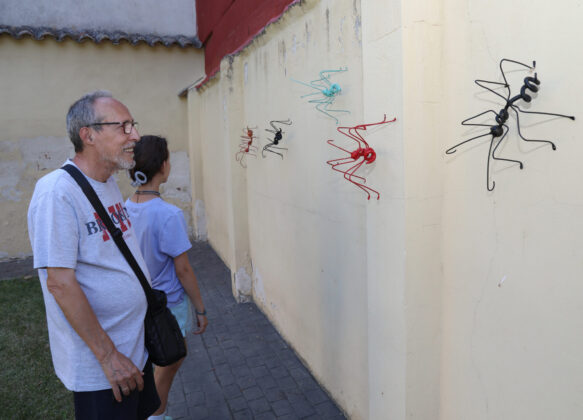 Exposici&oacute;n 'Bichos' de Jos&eacute; Castrillo en el patio del museo de arte contempor&aacute;neo de Carri&oacute;n de los Condes (Palencia). Br&aacute;gimo (ICAL)