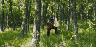 Castora Herz lanza “Espejo, sol y luna”