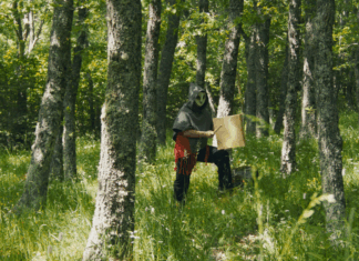 Castora Herz lanza “Espejo, sol y luna”, un viaje audiovisual desde la raíz hasta la pista de baile Castora Herz lanza “Espejo, sol y luna”