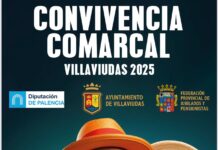 Convivencia Comarcal en Villaviudas. Cartel