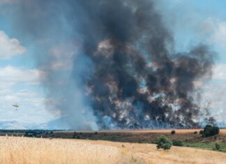 (Galería) Desactivan el nivel 1 en los incendios del Monte El Viejo y de Villasur