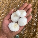 Granizada en Osorno, viernes 4 de julio (3)