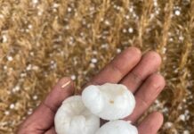 Granizada en Osorno, viernes 4 de julio