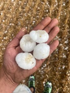 Granizada en Osorno, viernes 4 de julio
