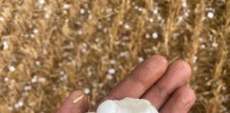 Granizada en Osorno, viernes 4 de julio