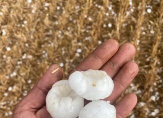 Granizada en Osorno, viernes 4 de julio