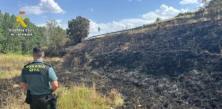 Foto del incendio en Pisón de Ojeda