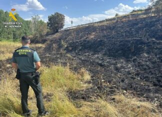 Investigado un vecino de Pisón de Ojeda por un incendio forestal tras una quema de maleza descontrolada Foto del incendio en Pisón de Ojeda