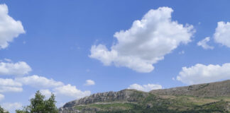 Cabras para debrozar el monte en el Geoparque de Las Loras