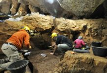 La Cueva de Guantes, un viaje al pasado neandertal de Palencia