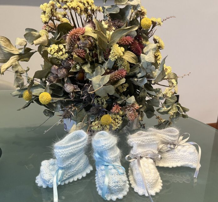 La Diputación mantiene su apuesta por el fomento de la natalidad (1) (1) La Diputación de Palencia reparte 24.000 euros en ayudas al fomento de la natalidad entre 50 familias