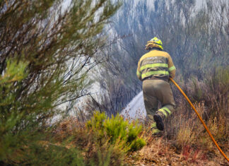 Labores de extinción en el incendio de Sierra de La Culebra en julio de 2022