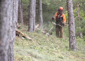 La CHD destina 300.000 euros a la restauración y protección del monte Cornones en Saldaña Monte Cornones en Saldaña