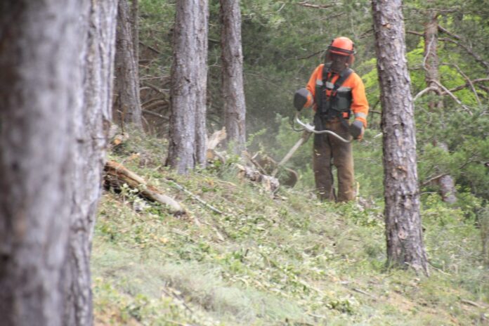 Monte Cornones en Saldaña