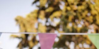 Foto del pipafest 2024