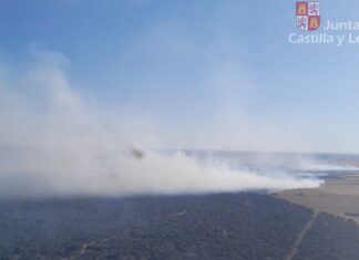 Vista aérea del incendio desde uno de los helicópteros de la lucha contra el fuego, en la que se observa la evolución del fuego y al fondo la masa forestal del Monte el Viejo. / JCYL