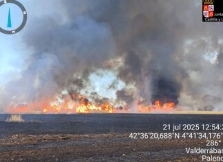 Otro incendio forestal de Nivel 1 en Palencia, ahora en Villasur