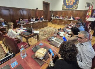 La Diputación aprueba en Pleno la modificación del presupuesto por importe de 1,58 M€ euros pleno diputación