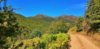 Acceso desde Lores a Pineda, antes del incendio. Fuente: Turismo Montaña Palentina