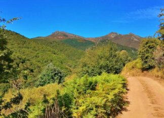 El Valle de Pineda, la Abadía de Lebanza y otros rincones naturales muy queridos que están entre las llamas Acceso desde Lores a Pineda, antes del incendio. Fuente: Turismo Montaña Palentina