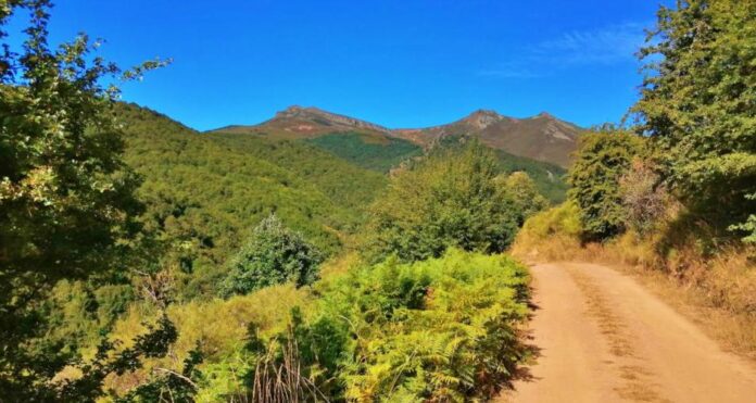 Acceso desde Lores a Pineda, antes del incendio. Fuente: Turismo Montaña Palentina