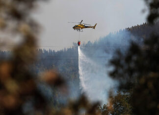 La Junta de Castilla y León aumenta al 75% las ayudas para crear empresas en las zonas afectadas por incendios