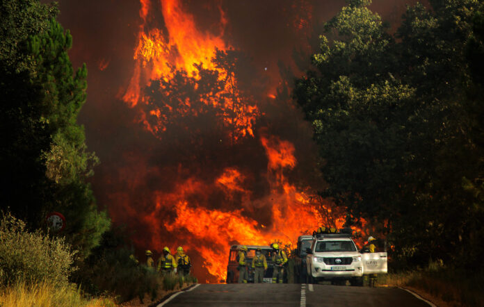 Incendio forestal en El Payo (Salamanca) en nivel 2. La proximidad de las llamas obliga a evacuar a los vecinos de El Payo (Salamanca)