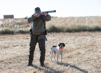 Comienza la media veda de caza en Castilla y León, con buenas expectativas de capturas. Fotografía: JL Leal