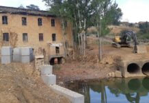 El Gobierno otorga a la plantación de la CHD en zonas de ribera de Calahorra de Ribas la certificación como proyecto de absorción de CO2