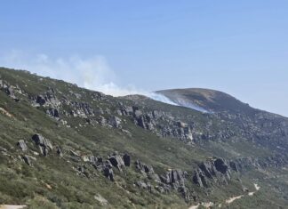 La Junta destaca una evolución favorable en el control de los incendios que afectan a Palencia
