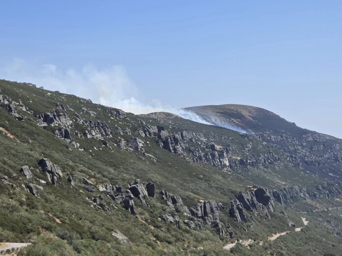 539361287_1168833578623828_8521644565273461385_n