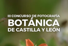 Concurso de fotografía Botánica de Castilla y León