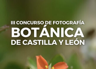 Concurso de fotografía Botánica de Castilla y León