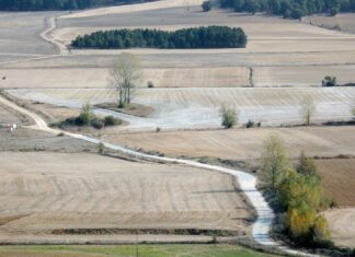 Un total de 42 ayuntamientos de la provincia podrán arreglar sus caminos rurales gracias a las ayudas de la Diputación que suman 300.543 euros Camino rural Buenavista de Valdavia