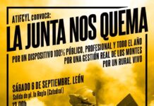 Cartel de la manifestación contra los incendios forestales en Castilla y León