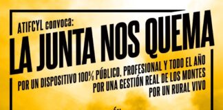Cartel de la manifestación contra los incendios forestales en Castilla y León