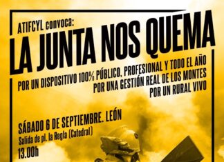 Cartel de la manifestación contra los incendios forestales en Castilla y León