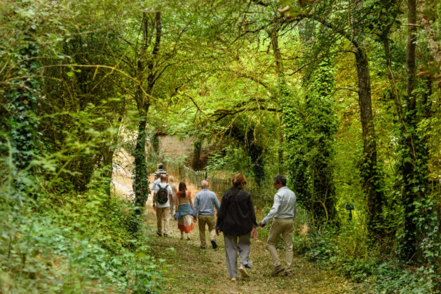 Fotograf&iacute;a: Diputaci&oacute;n de Palencia