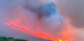Imágenes-cedidas-del-incendio-en-la-Montaña-Palentina-en-sus-primeras-etapas