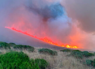 Imágenes-cedidas-del-incendio-en-la-Montaña-Palentina-en-sus-primeras-etapas