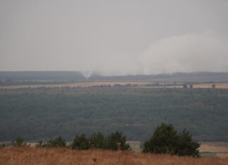 Incendio Villalba de Guardo. Lunes 18 de agosto. Fotografía: David Aricha