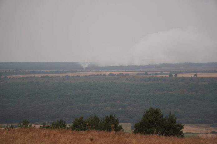 Incendio Villalba de Guardo. Lunes 18 de agosto (14) _ Incendio Villalba de Guardo. Lunes 18 de agosto. Fotografía: David Aricha