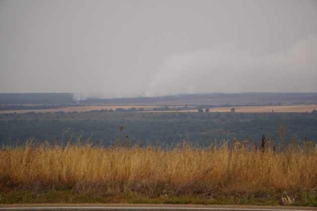 Incendio Villalba de Guardo. Lunes 18 de agosto. Fotograf&iacute;a: David Aricha