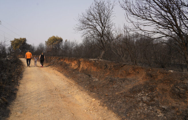 Incendio en Las M&eacute;dulas (Le&oacute;n). Fotograf&iacute;a: C&eacute;sar Hornija (ICAL)