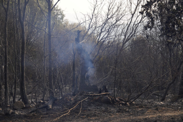 Incendio en Las M&eacute;dulas (Le&oacute;n). Fotograf&iacute;a: C&eacute;sar Hornija (ICAL)