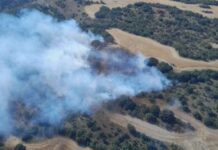 Un incendio en Valbuena de Pisuerga requiere la intervención de 11 medios de extinción, incluido el helicóptero