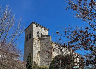 LA DAMA DE LAS LORAS