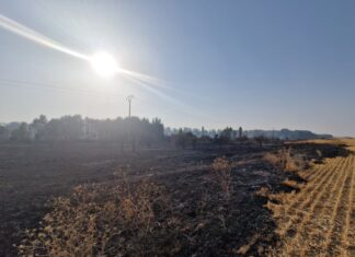 La Venta en Becerril de Campos