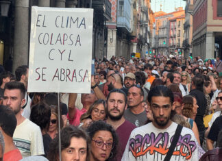 Manifestación en Valladolid contra la gestión de los incendios. Imágenes enviadas por un grupo de asistentes desde Palencia